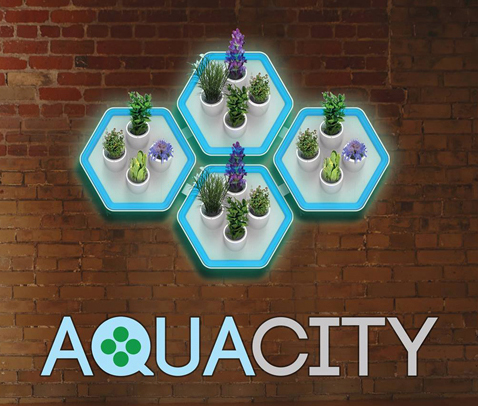 01-aquacity-linkout-exame