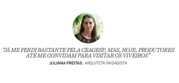 02-as-melhores-lojas-de-sp-para-paisagistas-por-juliana-freitas