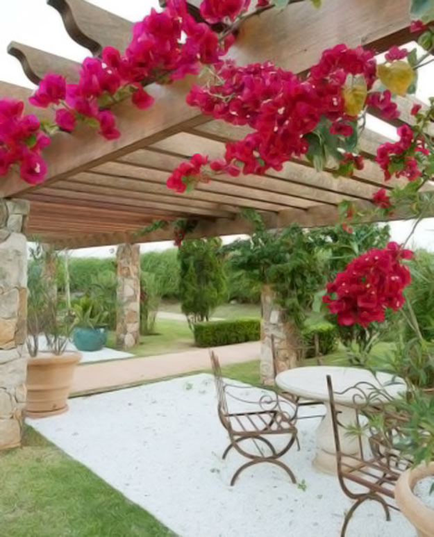 02-retrospectiva-22-jardins-que-fizeram-sucesso-no-pinterest-em-2015
