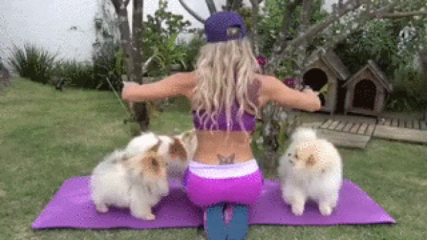 02a-da-para-usar-moveis-para-se-exercitar-as-musas-fitness-dizem-que-sim