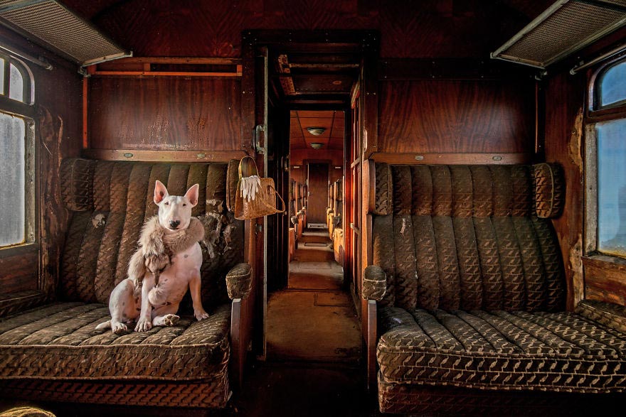 03-fotografa-retrata-sua-cadela-em-predios-abandonados-da-europa