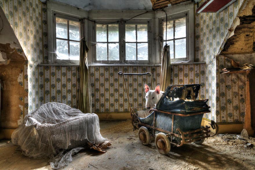 04-fotografa-retrata-sua-cadela-em-predios-abandonados-da-europa