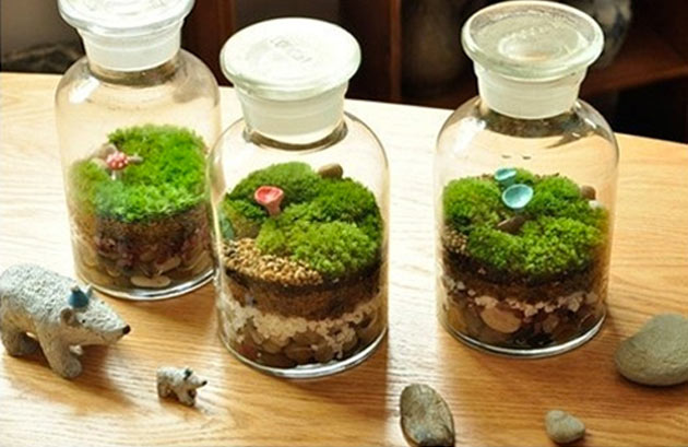 Mini terrários em pote de vidro fechados