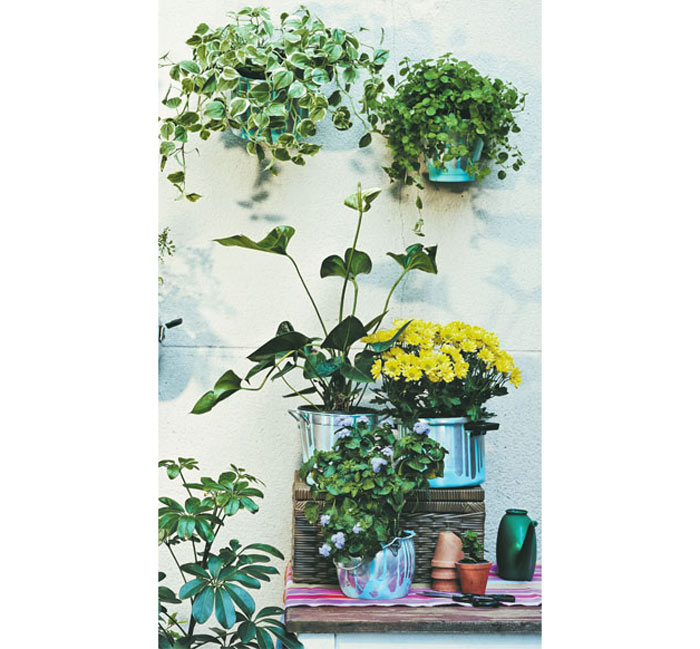 05a-ideias-de-decoracao-para-vasos-de-flores
