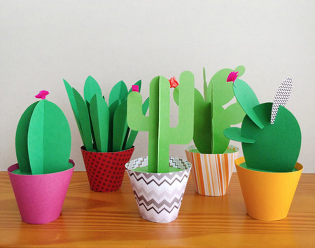 06-cactos-decoracao-produtos