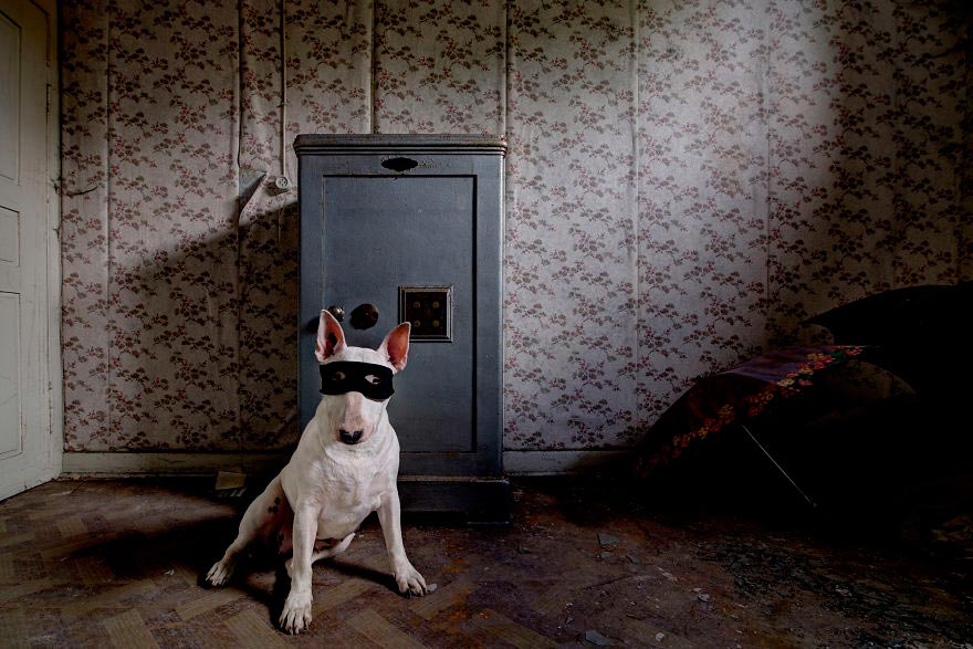 08-fotografa-retrata-sua-cadela-em-predios-abandonados-da-europa