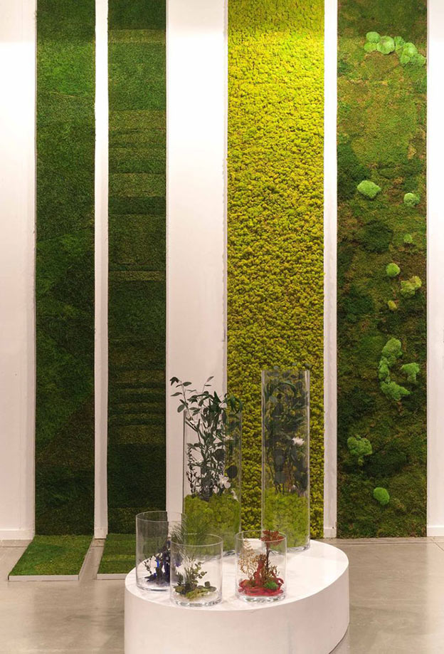 09-ideias-de-paredes-verdes-cobertas-de-musgo