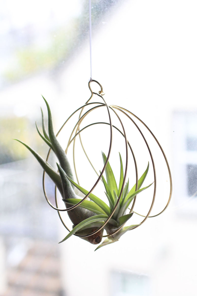 11-airplants-como-usar