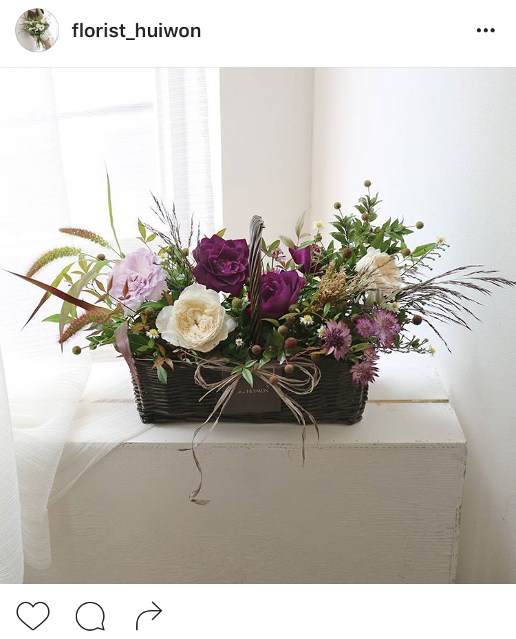 11-perfis-do-instagram-que-amam-flores-plantas-para-voce-seguir