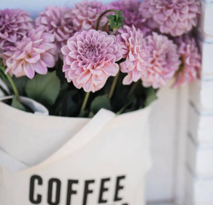 13-perfis-do-instagram-que-amam-flores-plantas-para-voce-seguir