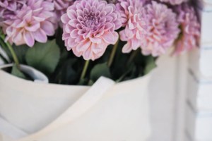 13-perfis-do-instagram-que-amam-flores-plantas-para-voce-seguir
