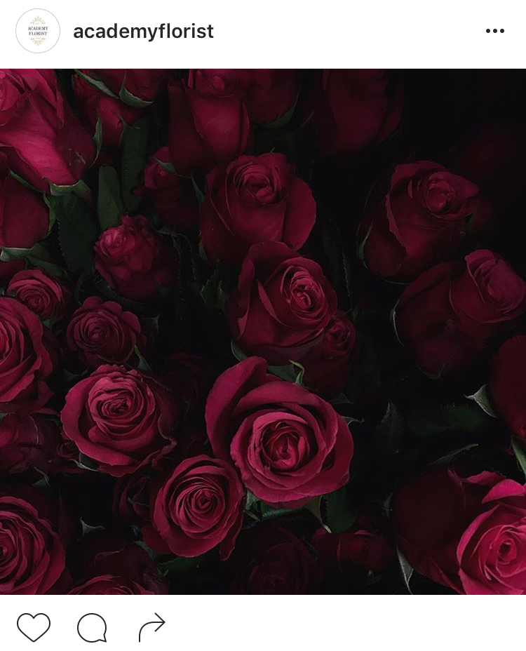 14-perfis-do-instagram-que-amam-flores-plantas-para-voce-seguir
