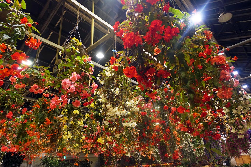 15 Café no Japão fica dentro de uma estufa com mais de 12 mil flores
