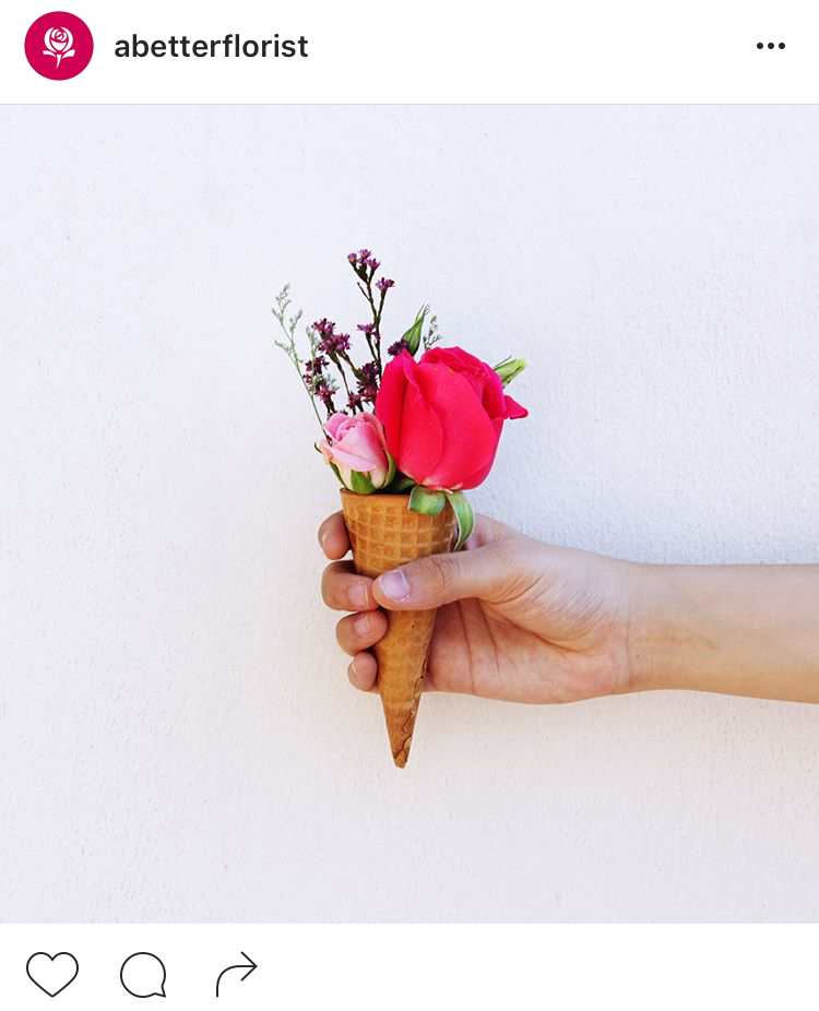 15-perfis-do-instagram-que-amam-flores-plantas-para-voce-seguir