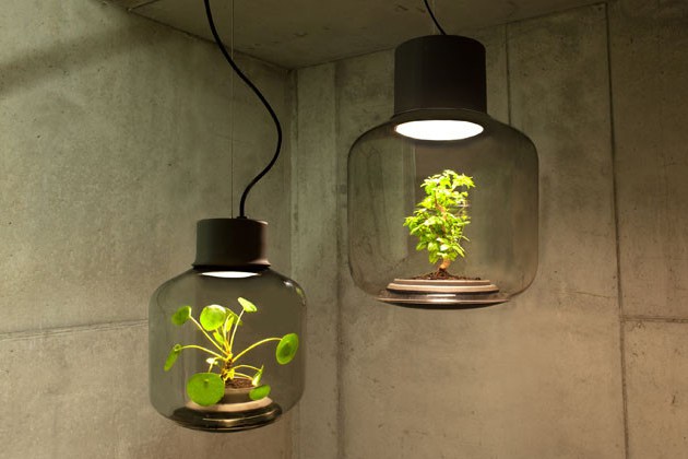 1-Designers criam luminárias onde é possível cultivar plantas
