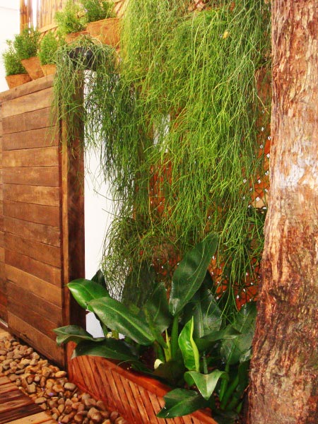 Assinado pela paisagista Marizeth Estrela, este jardim fica em uma casa paulistana localizada no bairro do Itaim Bibi. Vasos de fibra de coco estão fixados em um painel de madeira e abrigam ripsalis (na parte esquerda, é de um espécie que cresce para cima; na direita, uma variedade pendente). Seixos de rios e deque de madeira completam o espaço.