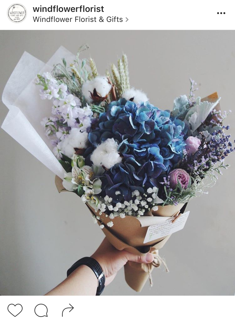 17-perfis-do-instagram-que-amam-flores-plantas-para-voce-seguir