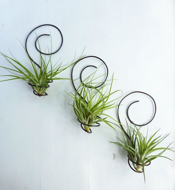 2-2-airplants-como-usar