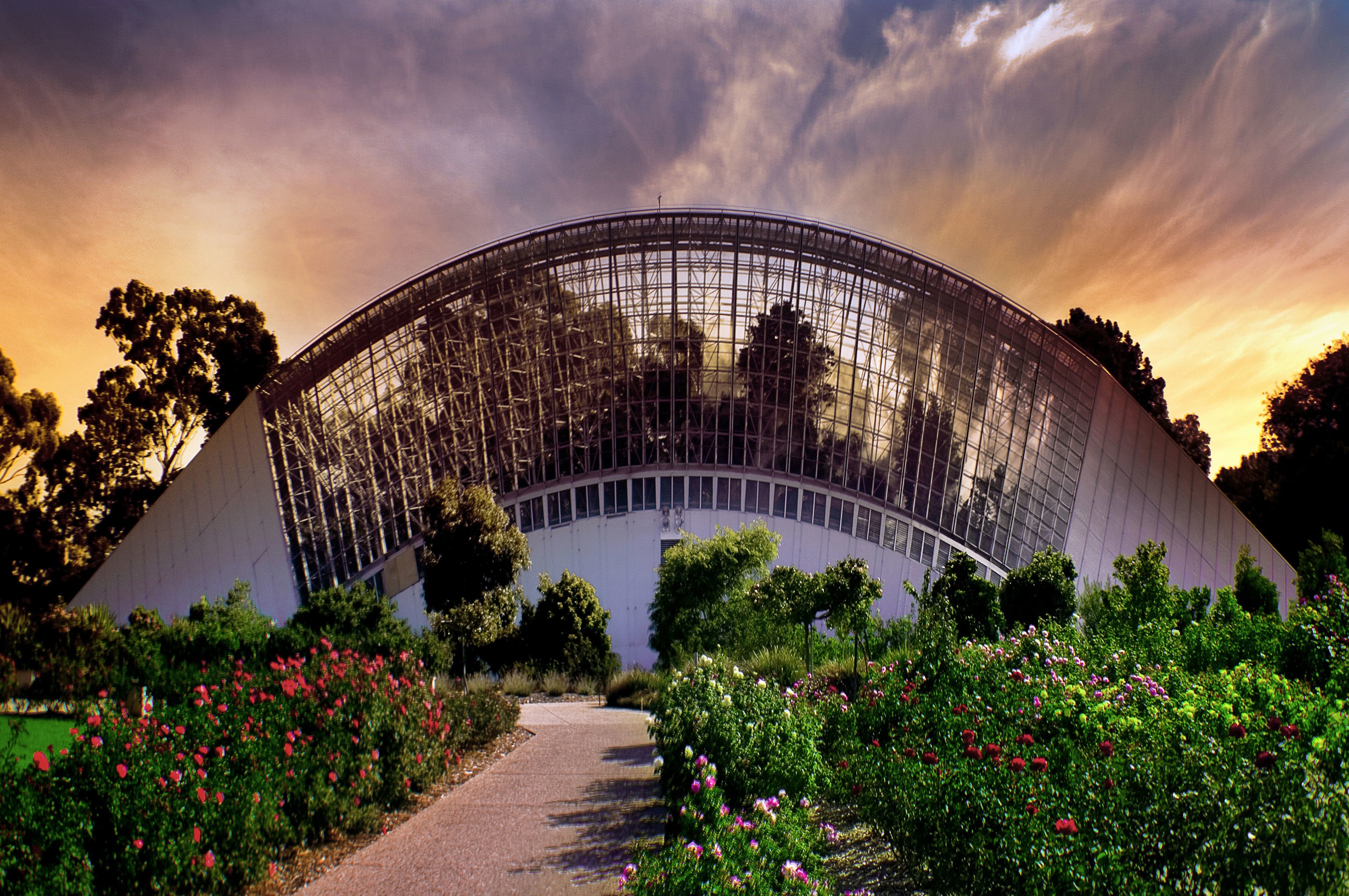 2-jardim-bot&acirc;nico-de-adelaide-austr&aacute;lia