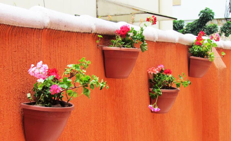 Para tornar a parte externa de um estúdio musical, localizada na cidade de São Paulo, mais aconchegante, a paisagista Marizeth Estrela optou por pendurar gerânios de várias cores na parte superior da parede laranja. As flores foram colocadas em vasos de plásticos de cor terracota fixados na parede com bucha e parafuso.