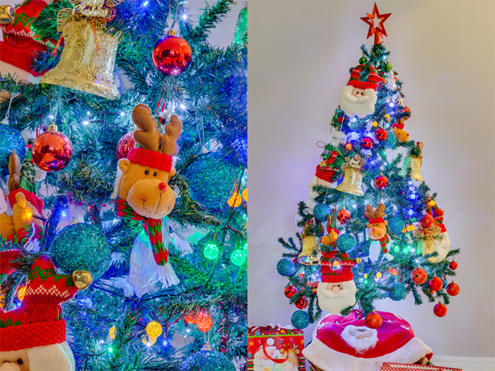 2015-®Nenad-NatalGreyHouseBG-2048-Editar