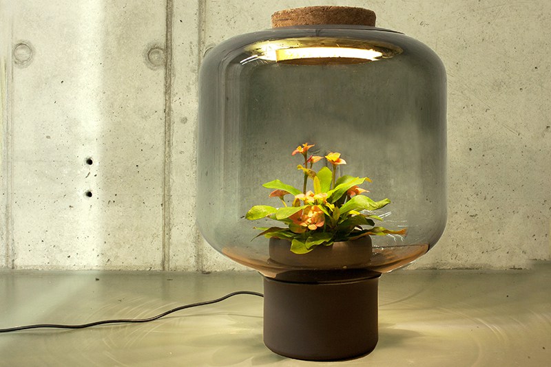 2-Designers criam luminárias onde é possível cultivar plantas