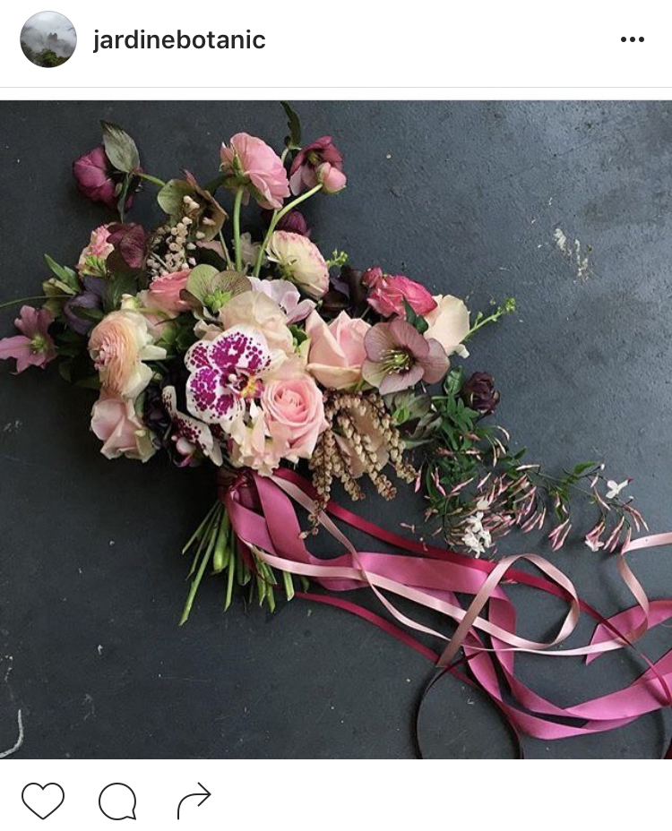24-perfis-do-instagram-que-amam-flores-plantas-para-voce-seguir