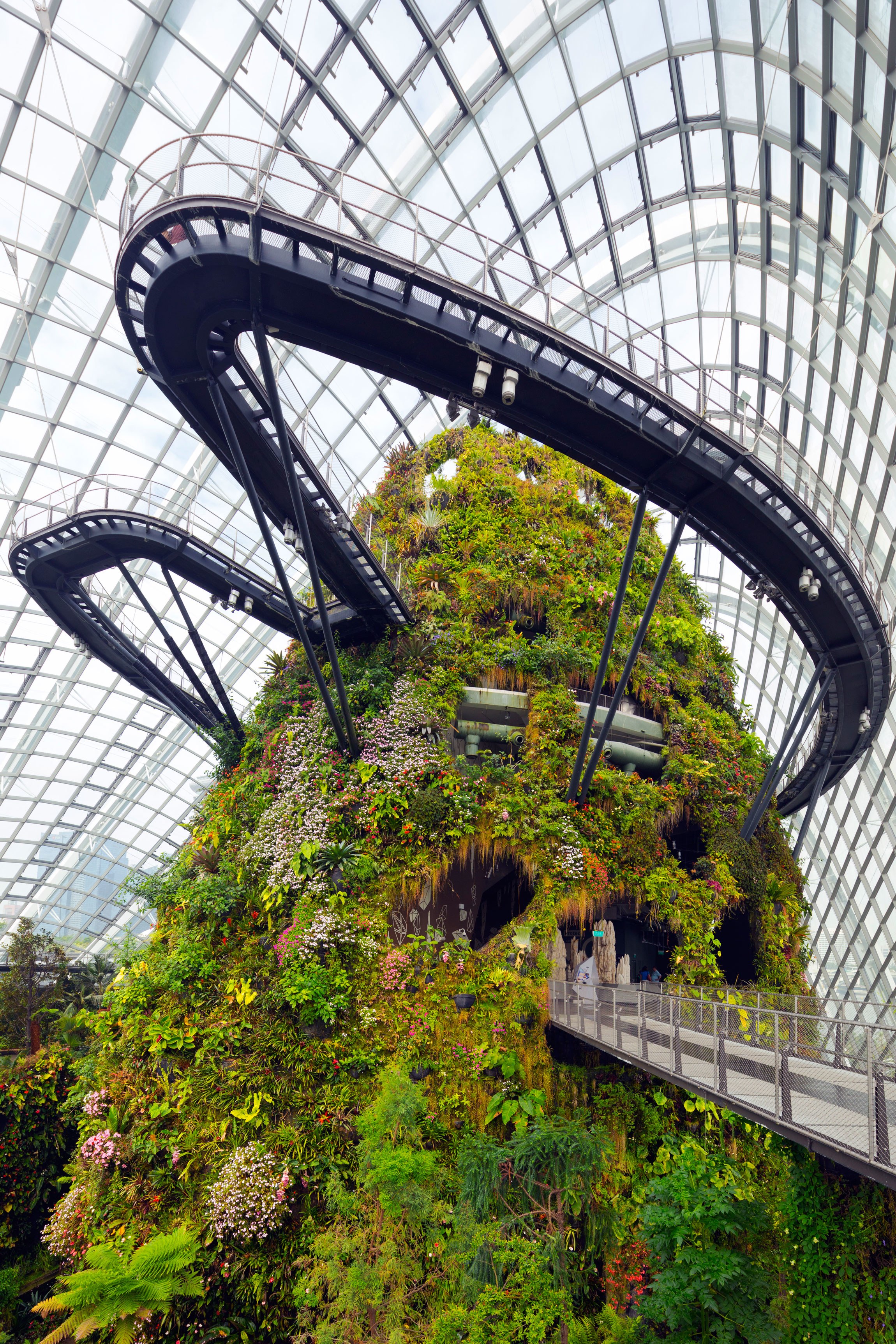 5-jardim-bot&acirc;nico-de-cingapura