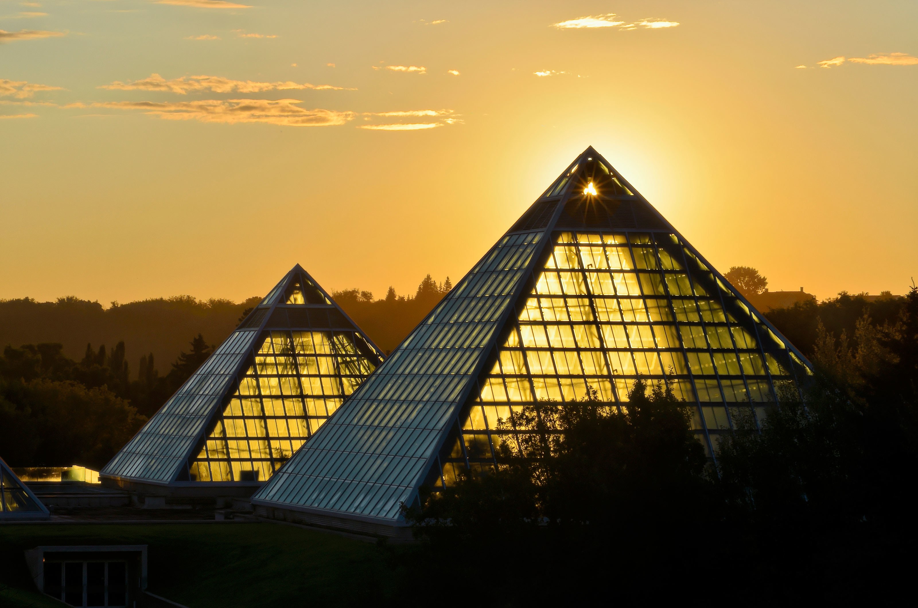 7-jardim-bot&acirc;nico-de-edmonton-canad&aacute;