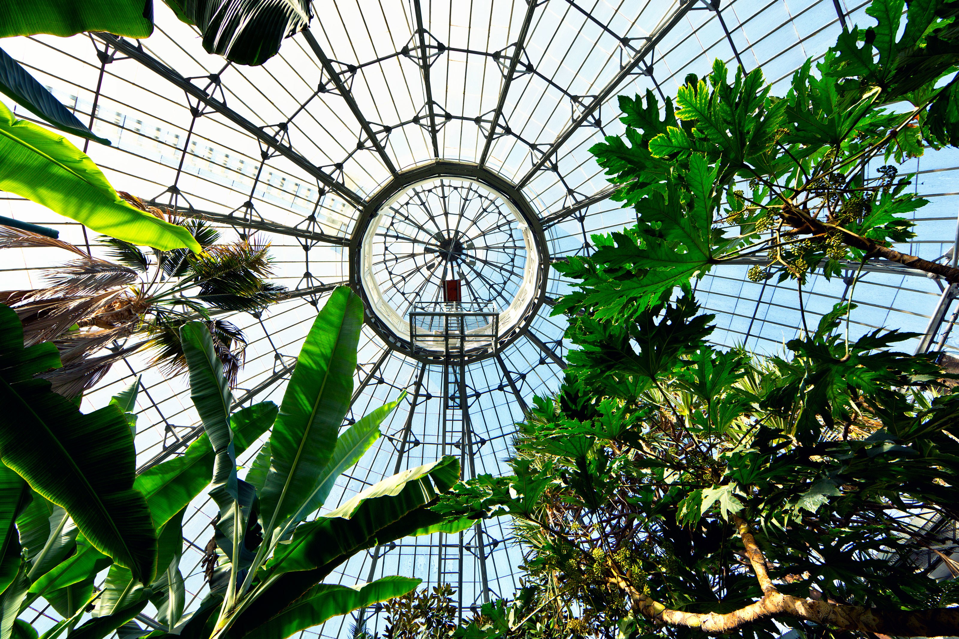 8-jardim-bot&acirc;nico-de-toronto-canad&aacute;