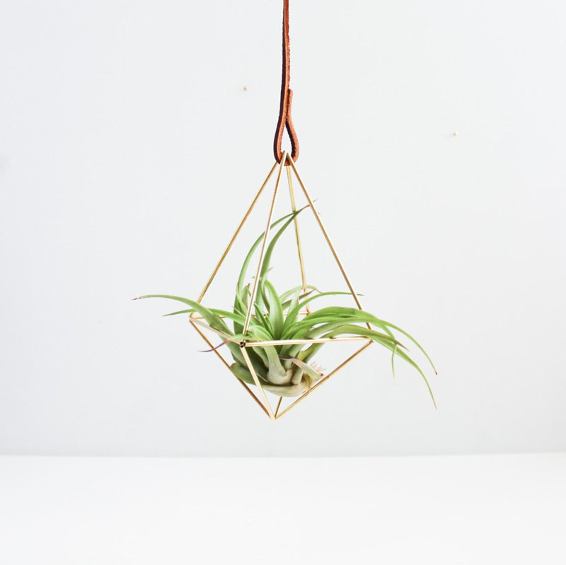 9-airplants-como-usar