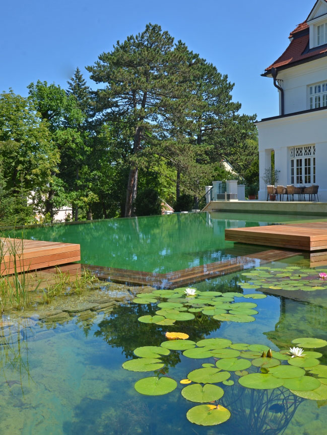 9-projetos-que-mostram-a-beleza-das-piscinas-naturais08