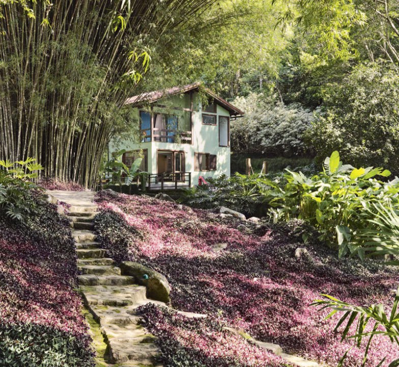 A paisagista Tania Manela Kurc foi formando durante décadas este jardim em sua casa de praia na Ilha Grande, Rio de Janeiro