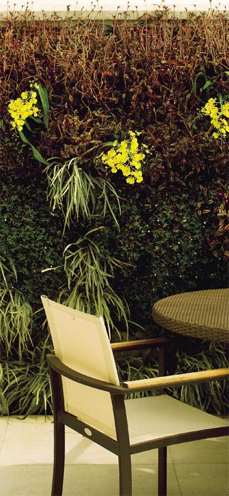 Um t&iacute;tulo para uma foto sem titulo