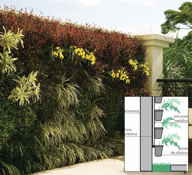 Colocar como texto abaixo da foto e legenda completa: Ao todo, 80 mudas de l...