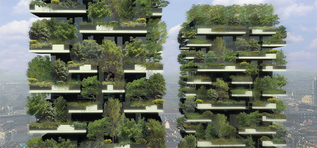 aec299_floresta_urbana_34_01