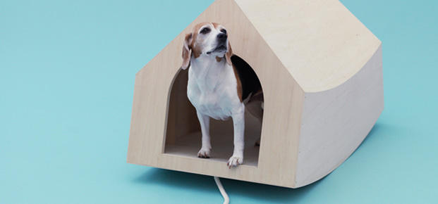 arquitetos-internacionais-criam-abrigos-para-cachorros