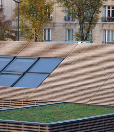 Um t&iacute;tulo para uma foto sem titulo