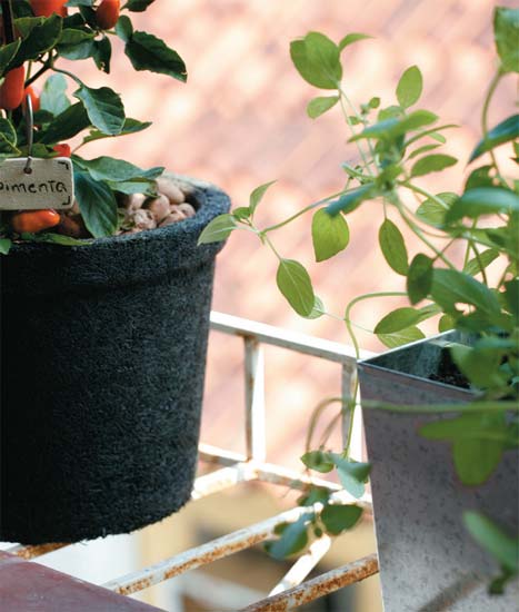 No projeto desenvolvido pela empresa Hortinha, as floreiras de zinco ficam ap...