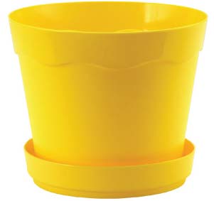 De pl&aacute;stico, da Tok & Stok. Por 4,90 reais (com 10 cm de altura e 12 cm de d...