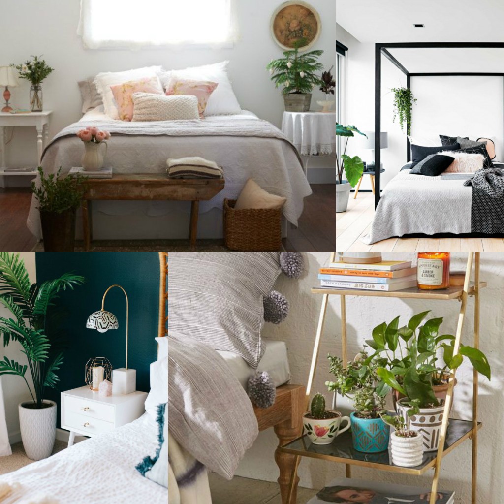 colagem-plantas-no-quarto-Pinterest
