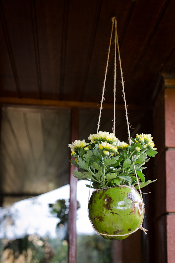 como-fazer-vaso-suspenso-com-coco-verde-13