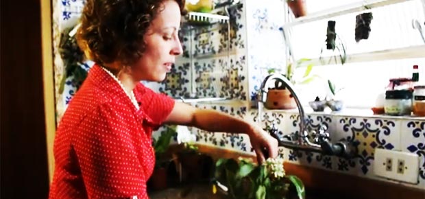 como-regar-orquideas