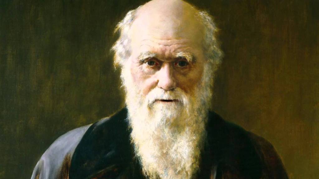 darwin