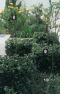 Ares da Proven&ccedil;a No sul da Fran&ccedil;a, os jardins misturam elementos do pais...