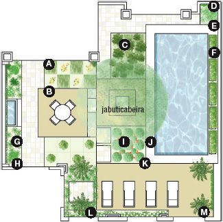 A.Viburno(Viburnum suspensum) B.Clorofito(Chlorophytum comosum)...