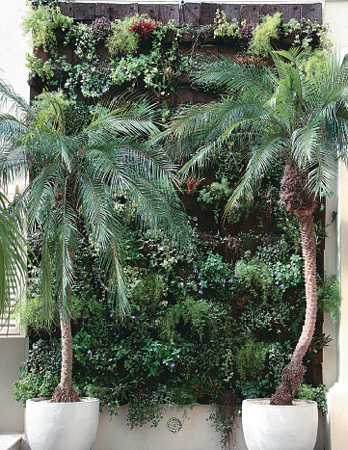 O paisagista deu vida &agrave;s paredes que cercam o quintal. Um bom exemplo &eacute; o m...