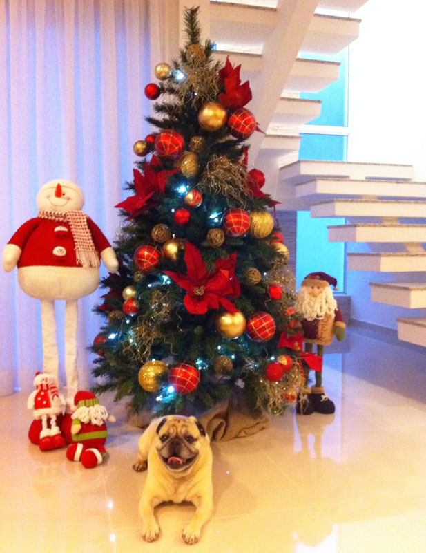 Como desmontar e guardar a decoração de Natal sem estragá-la Como desmontar e guardar a decoração de Natal sem estragá-la