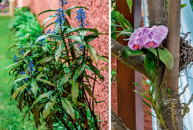 destaque-segredos-para-deixar-seu-jardim-encantador