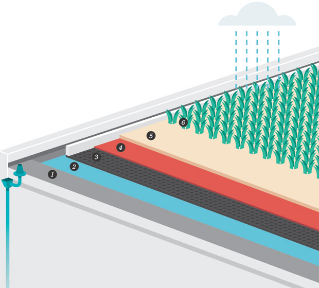 dossie-telhados-como-ter-uma-cobertura-verde